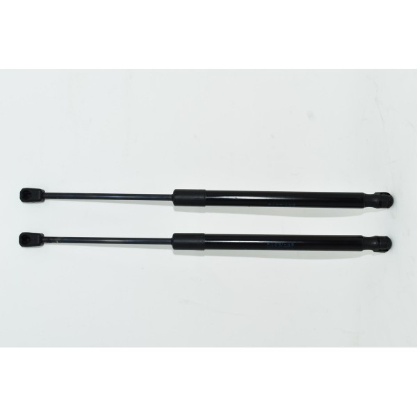 Par De Amortecdor Porta Malas Citroen Ds5 Thp 1.6 13/14