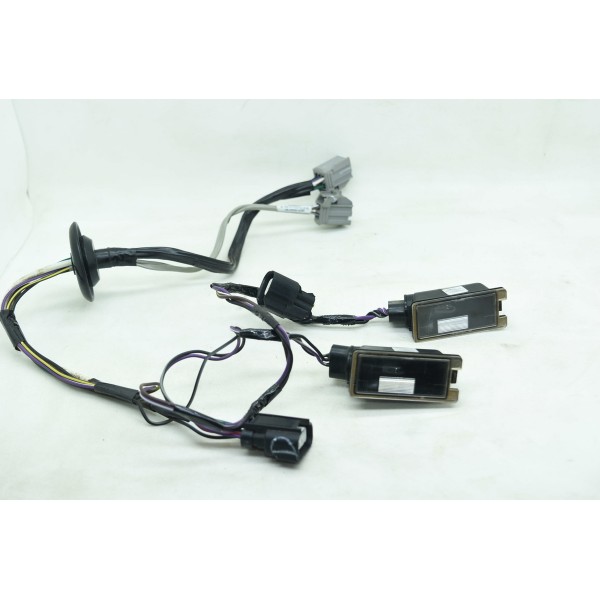 Luz De Placa Com Chicote Fusion Titanium Ecoboost 2.0 2018