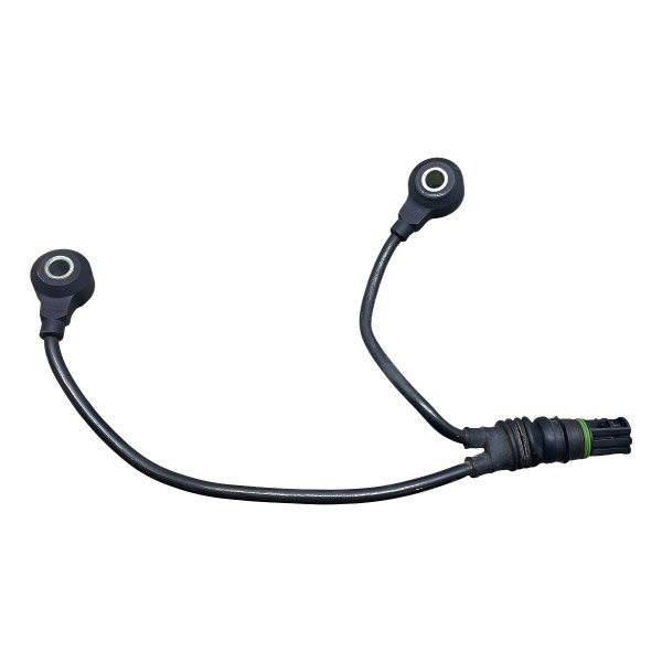 Par Sensor Detonação Bmw 530i E60 3.0 2004