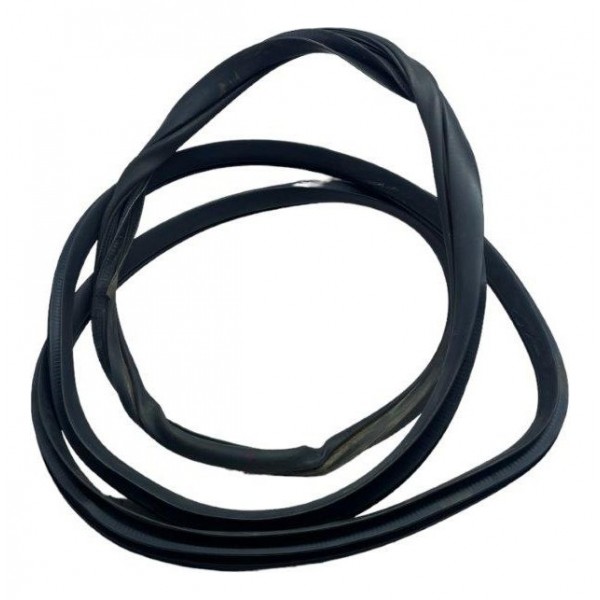 Borracha Porta Traseira Elantra 2.0 2014