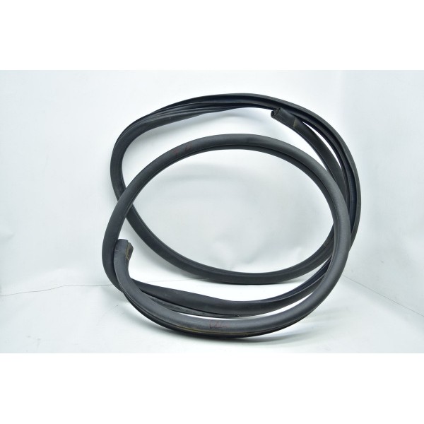 Borracha Porta Traseira Direita Sonata 2.4 2012