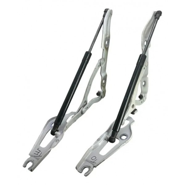 Par Dobradica Amortecedor Porta Malas Bmw 320 E90 2.0 2012